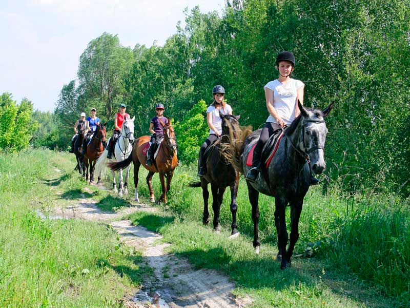 Конные прогулки в Подмосковье недорого  на турбазе Причал